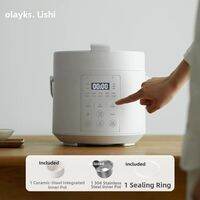 Olayks | Intelligent Small Mini No Coating Electric Pressure Cooker 2L