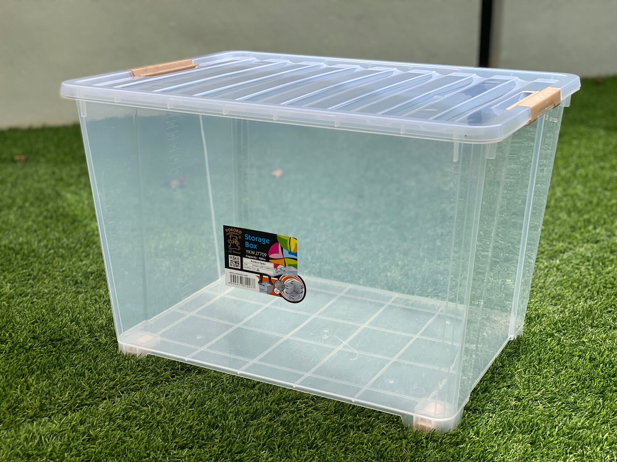 Transparent Storage Box