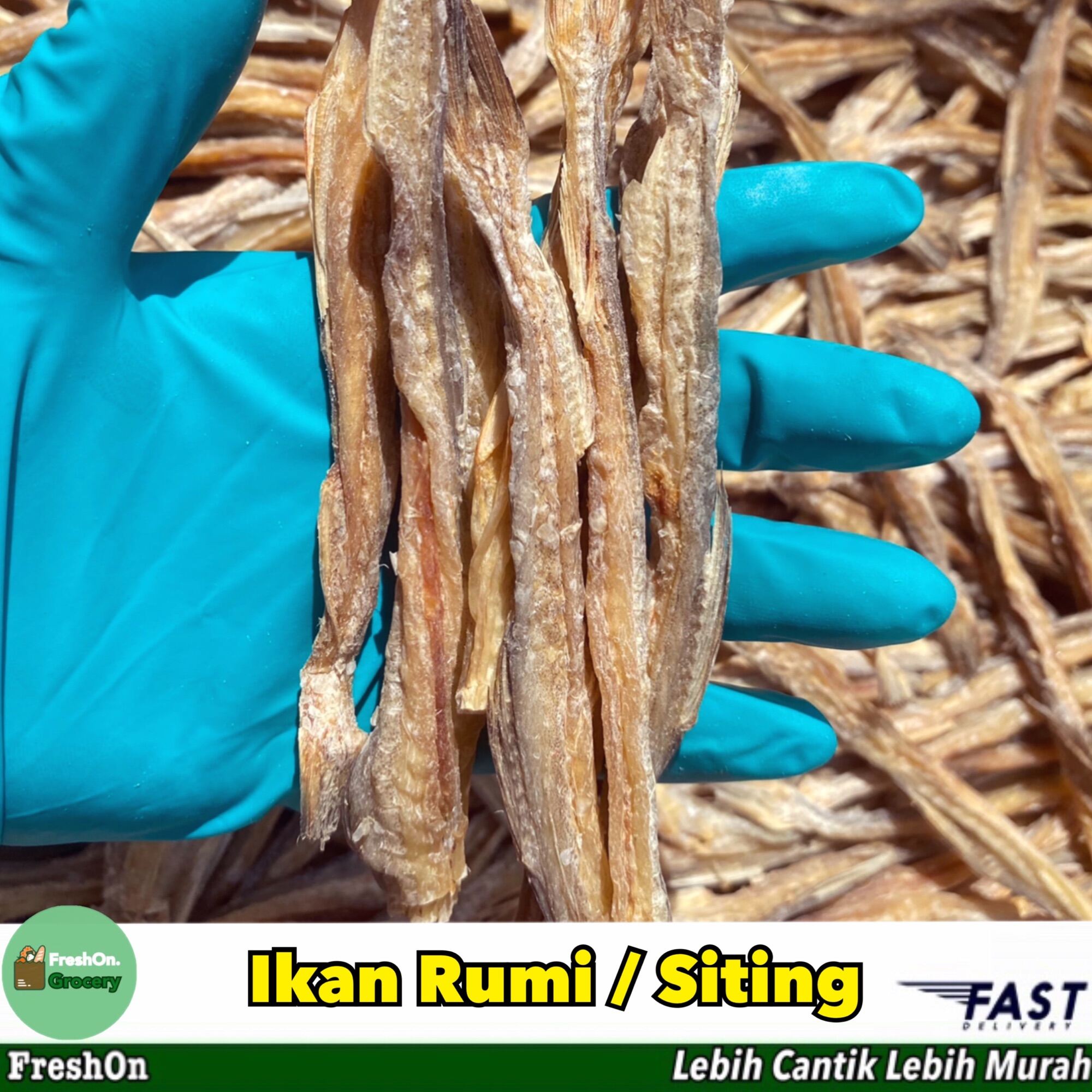 ikan-rumi-ikan-siting-gred-5a-100gram-rangup-dan-crispy-halal-100