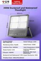 Bull | Waterproof Super Bright High Power Commercial Floodlight 220V