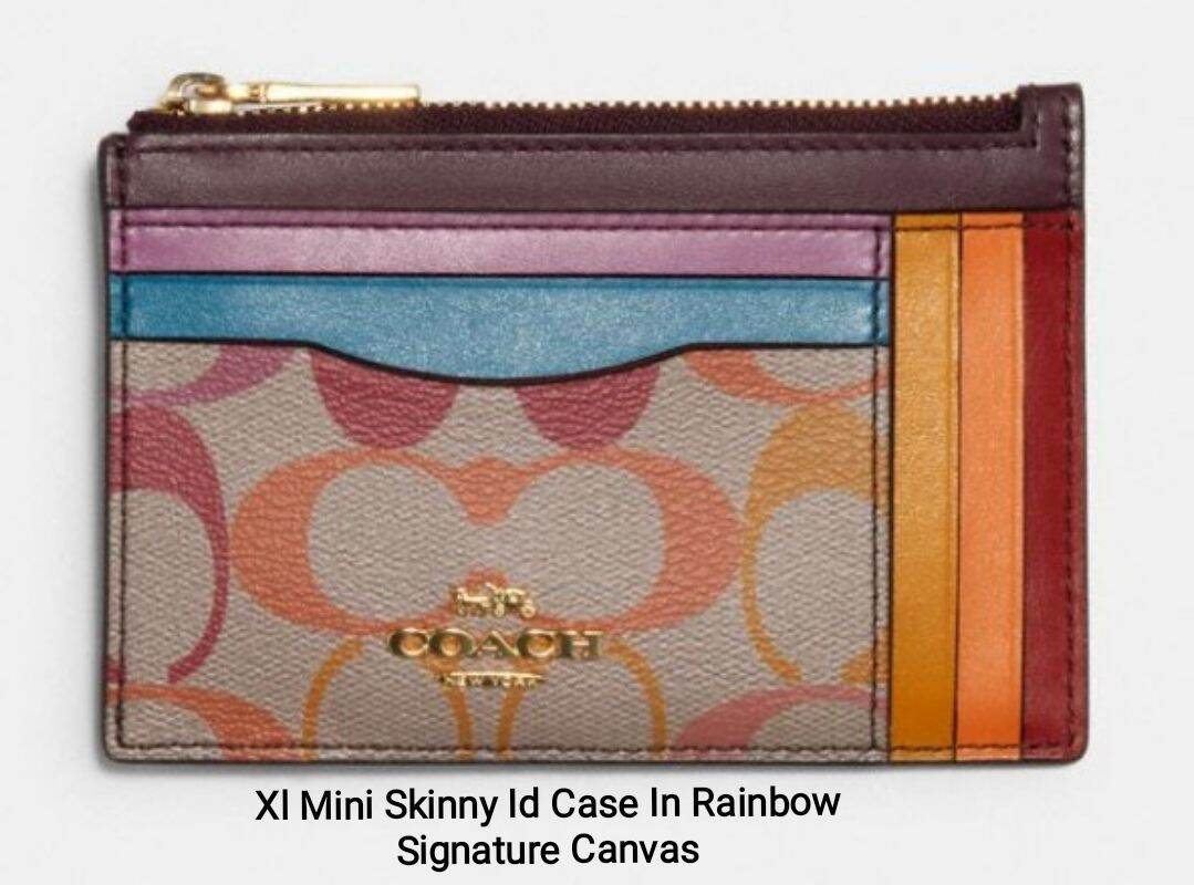 xl mini skinny id case in signature canvas with rainbow