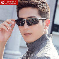 Raydem | Day & Night Polarized Photochromic Sunglasses for Men