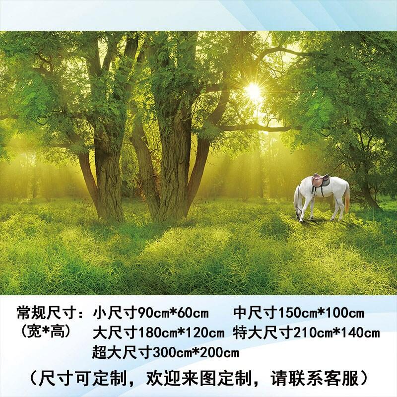 Wall Painting SelfAdhesive Landscape Natural Landscape Painting Wall