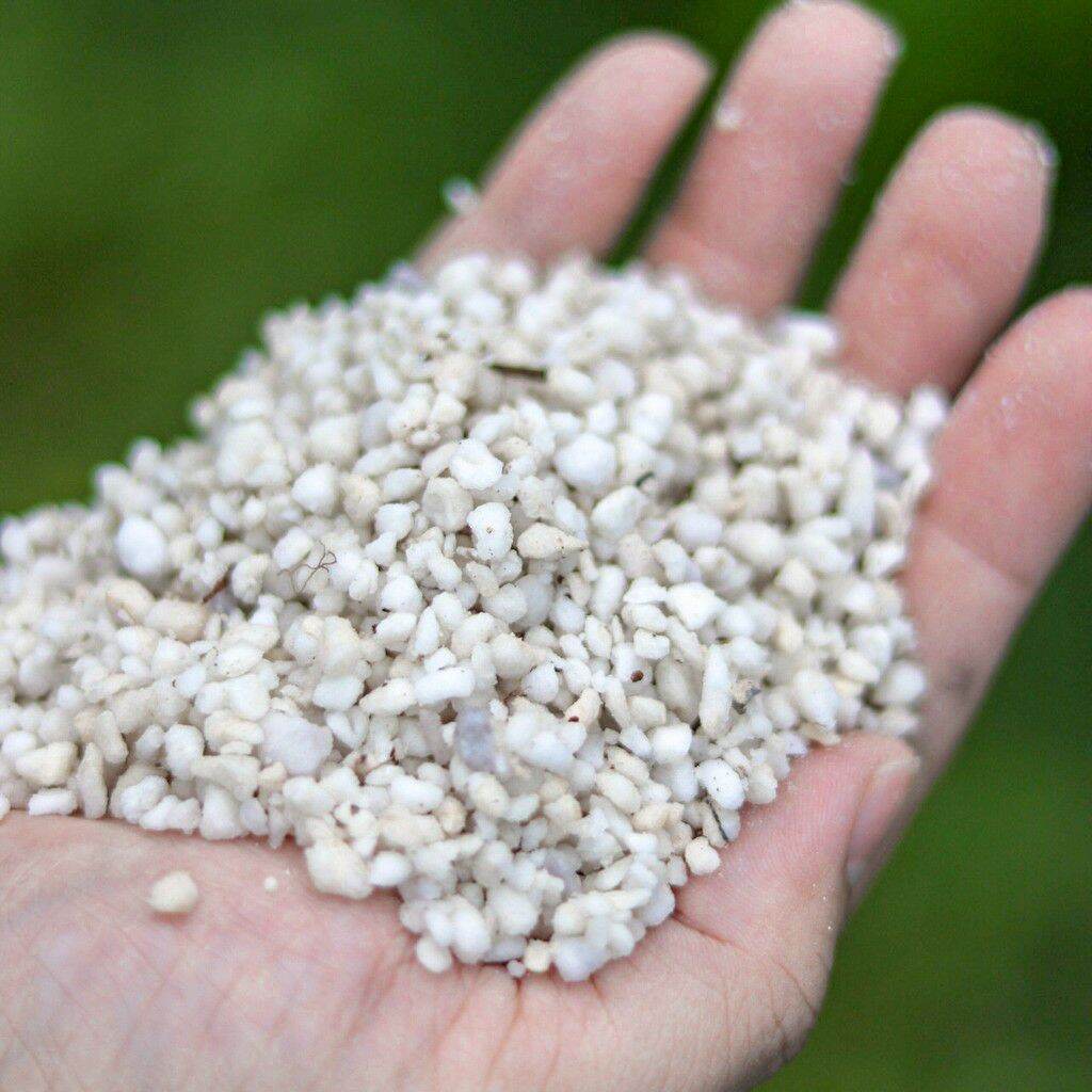 Perlite 2L (36mm) (Natural Expanded Volcanic Perlite) Suitable for