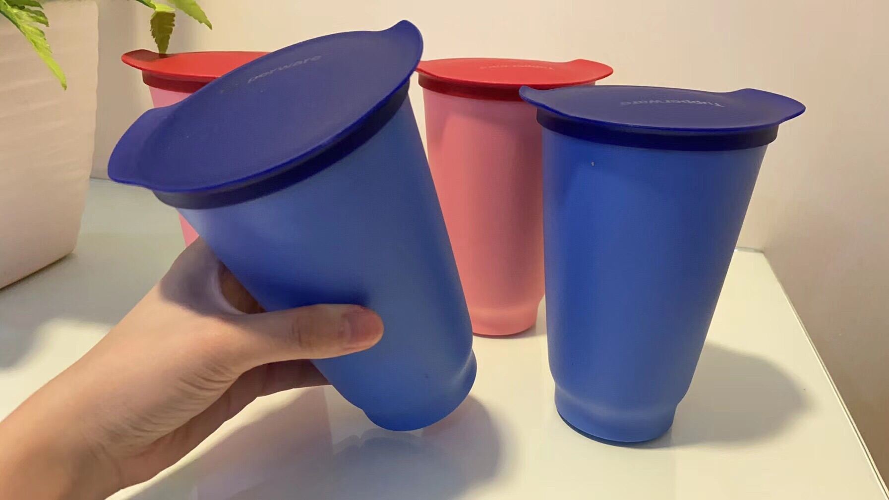 Tupperware Tall Cup with Lid (1 pc)