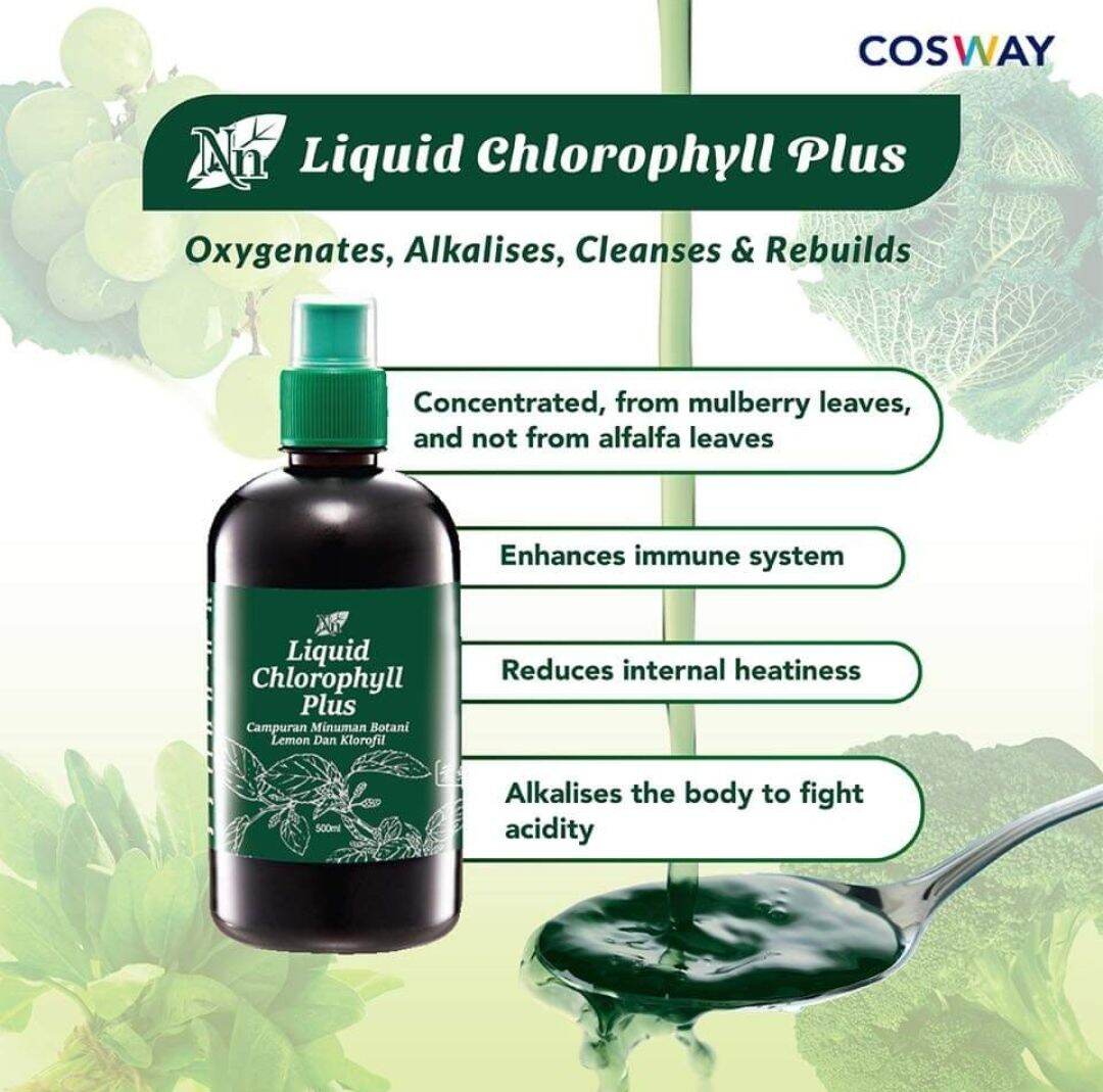 Nn Liquid Chlorophyll Plus Lazada