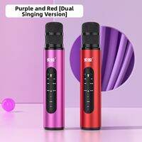 soaiy | Wireless Home KTV Singing Amplifier