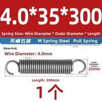 TIANZHUOJINSHU | Custom Strong Extension Coil Spring With Hook