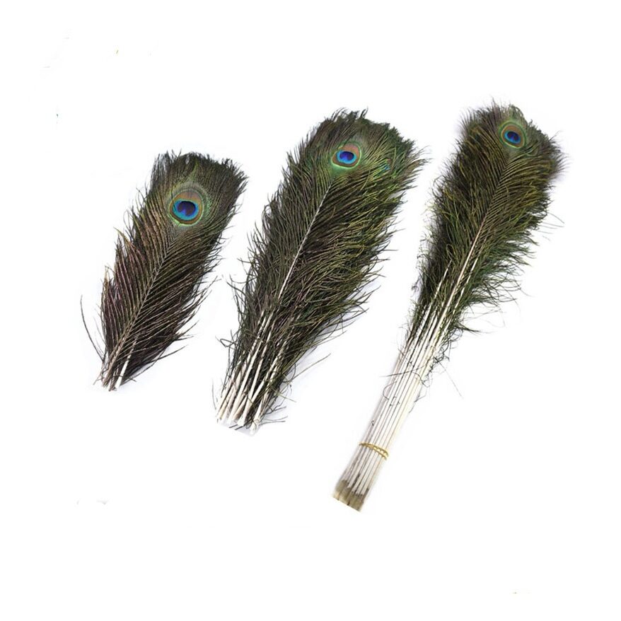 🔥Ready Stock🔥10PCS 25-110cm Natural Peacock Feather DIY Decoration Peacock Eye Tail Bulu Merak Asli