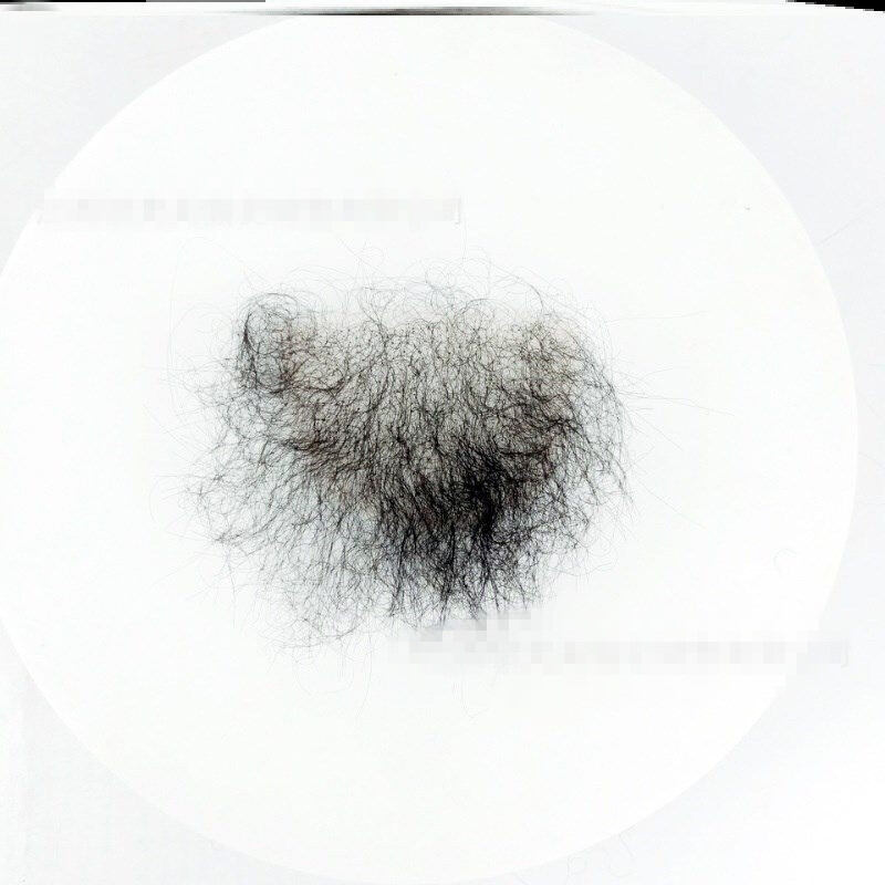 Amazing Fake Pubic Hair Photo Illustration Amazing Fake Pubic Hair Photo Illustration