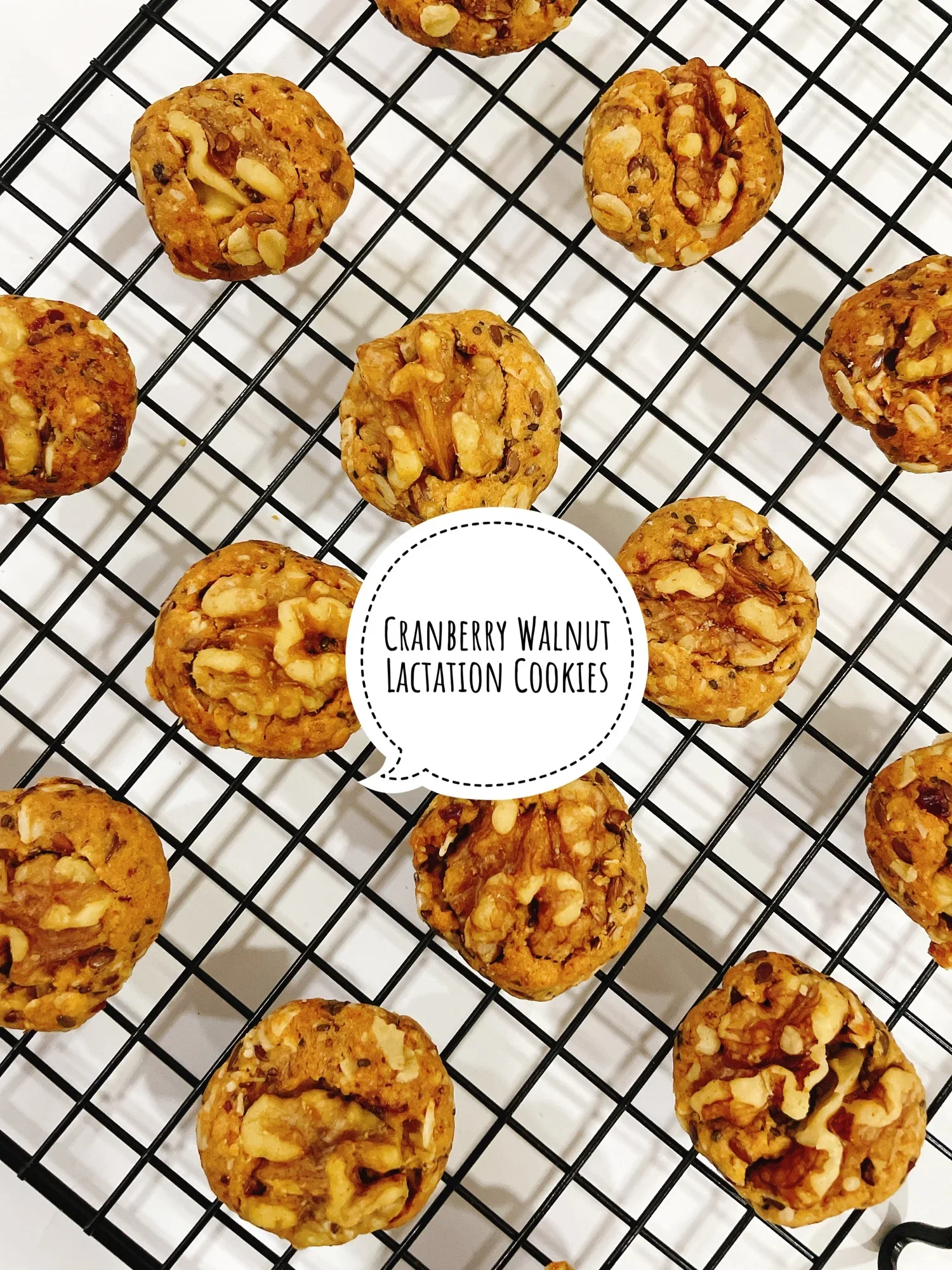 Cranberry Walnut Oatmeal Lactation Cookies (200G) / Biskut Tambah Susu Kranberi Walnut / 蔓越莓核桃燕麦哺乳饼干