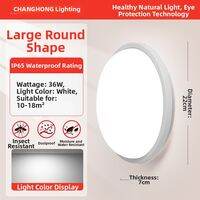 Changhong | Waterproof Simple LED Ceiling Light