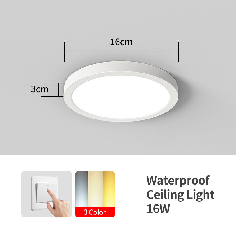 Waterproof Ceiling Light Surface Mounted Ultra-thin 16W/22W/30W Modern Minimalist Tricolor Ceiling Lamp