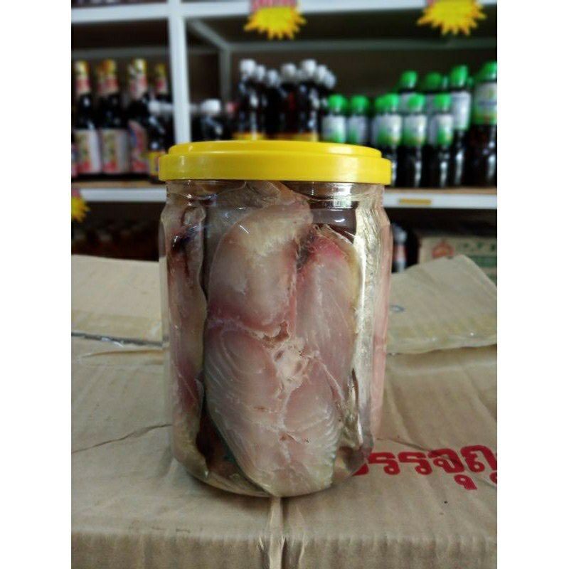 Ikan Tenggiri Masin | Lazada
