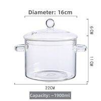 UKR | Double Handle Borosilicate Glass Pot with Lid