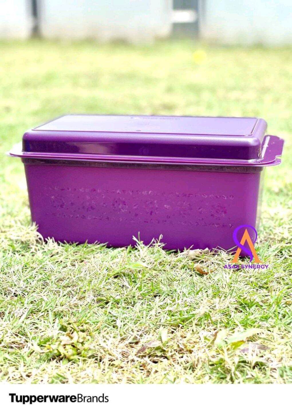Tupperware Bread Keeper Pastry Server Saver Daisy Purple Storage Container  New