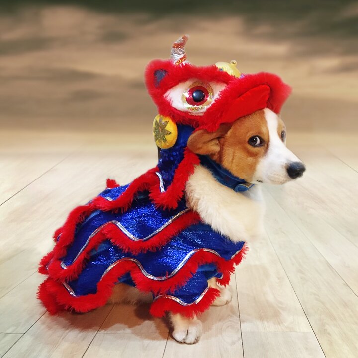 Chinese new year costume lion head dance clothes for pet dog hotsell