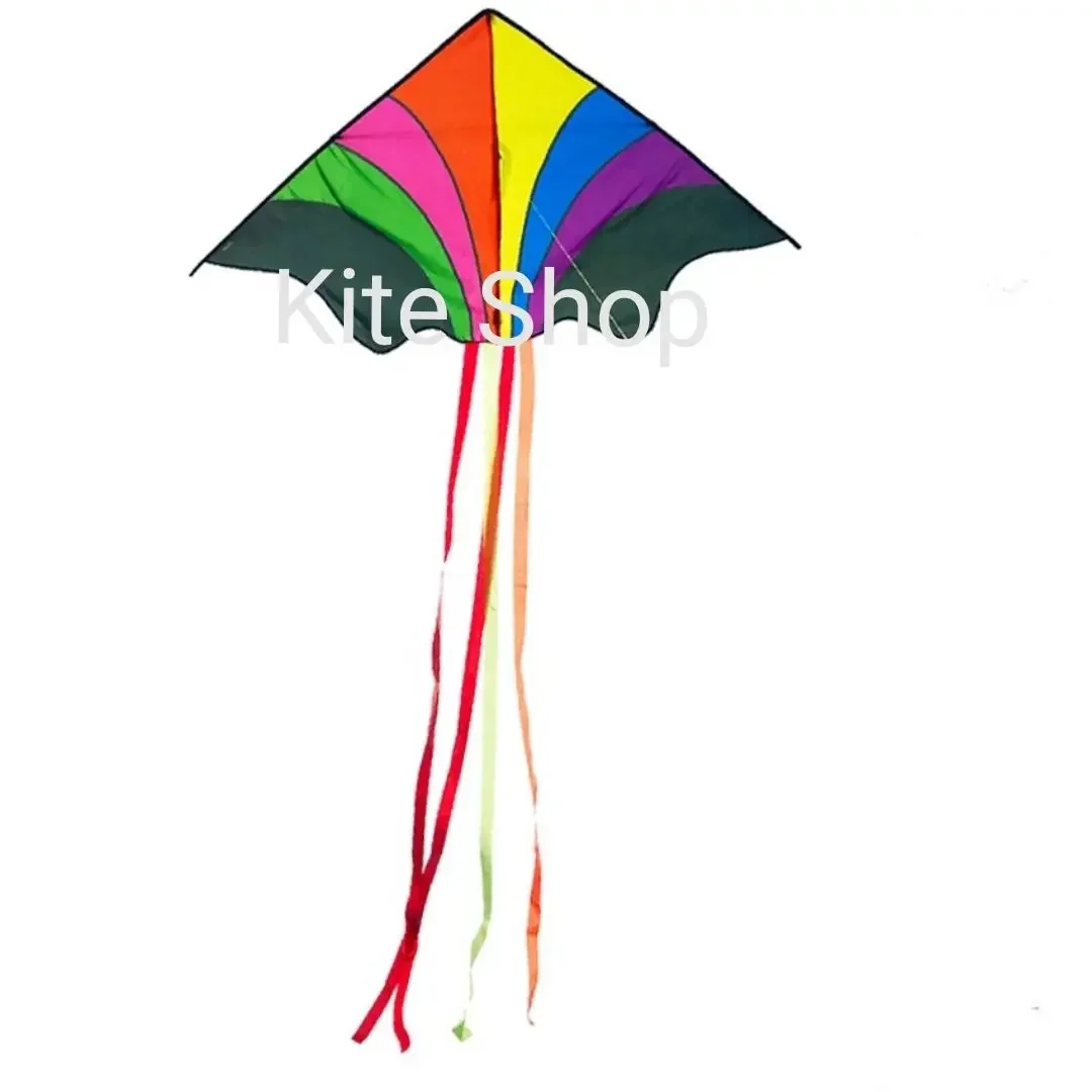 1.6m Simple Rainbow Delta Kite Free 50m Line (Ready Stock)