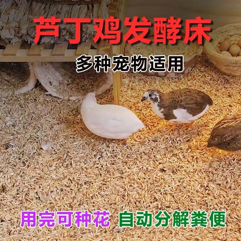 Pet Bedding for Quail / Mini Puyuh / Rutin Chicken / 卢丁鸡发酵床稻壳垫料 / 稻壳垫料