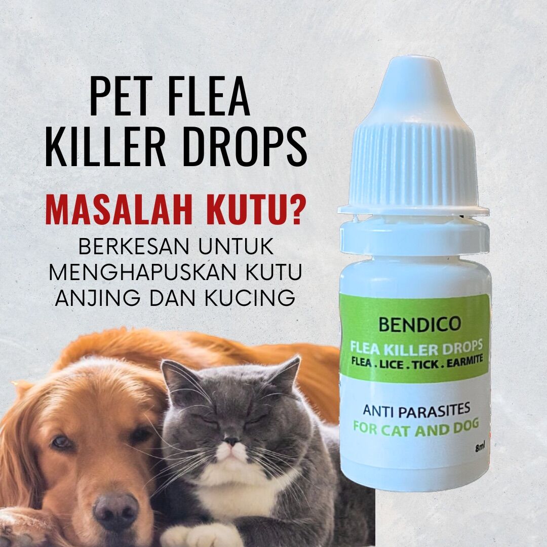 🌈 FLEA KILLER DROPS kutu kucing kutu anjing flea lice tick earmite ...