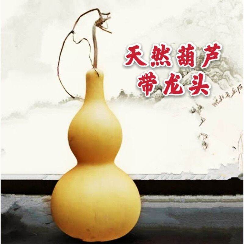 Natural Gourd HuLu FengShui 天然葫芦带龙头葫芦 家居风水摆件吉祥平安收煞化煞天然葫芦