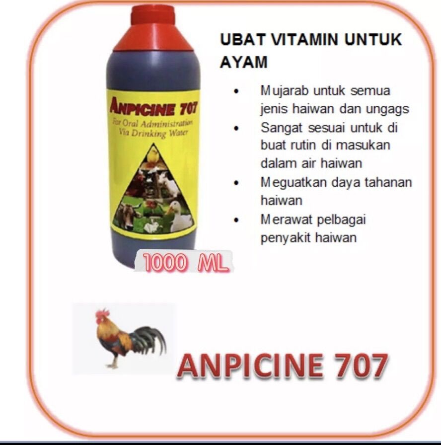 Buy Ubat Ayam 707 online  Lazada.com.my
