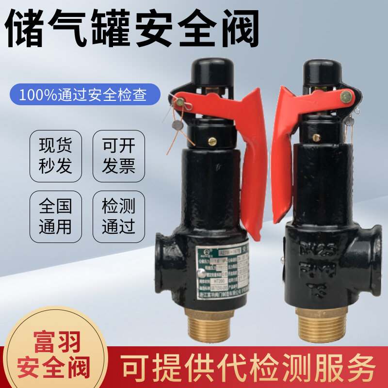 Fuyu Direct Spring Loaded Safety Valve Gas Tank Safety Valve Explosion