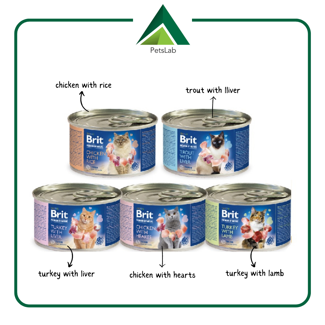 Brit Premium Cat Can Food 200G / Cat Wet Food 200G Lazada