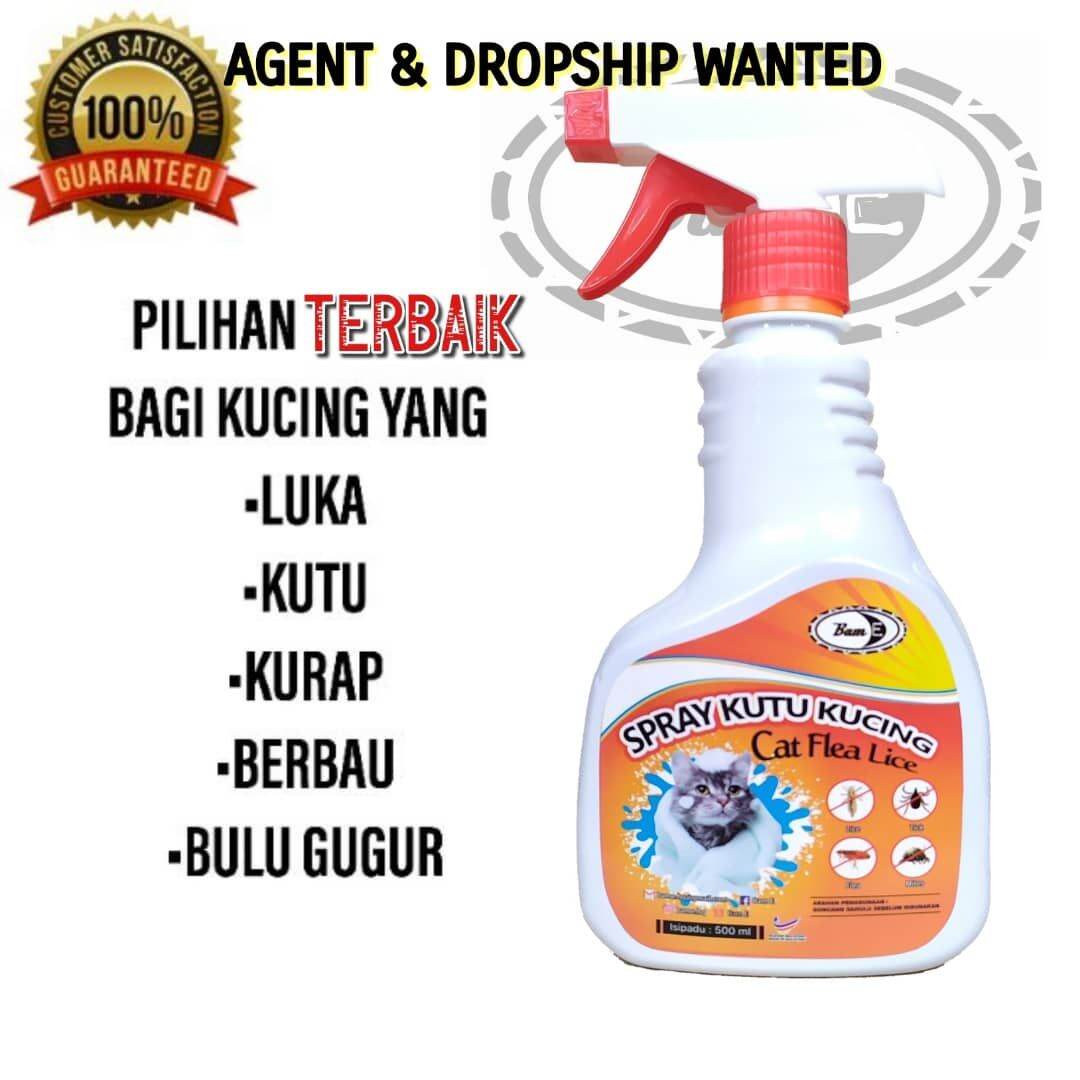 Beli ubat luka kucing spray Pada Harga Terendah  Lazada.com.my