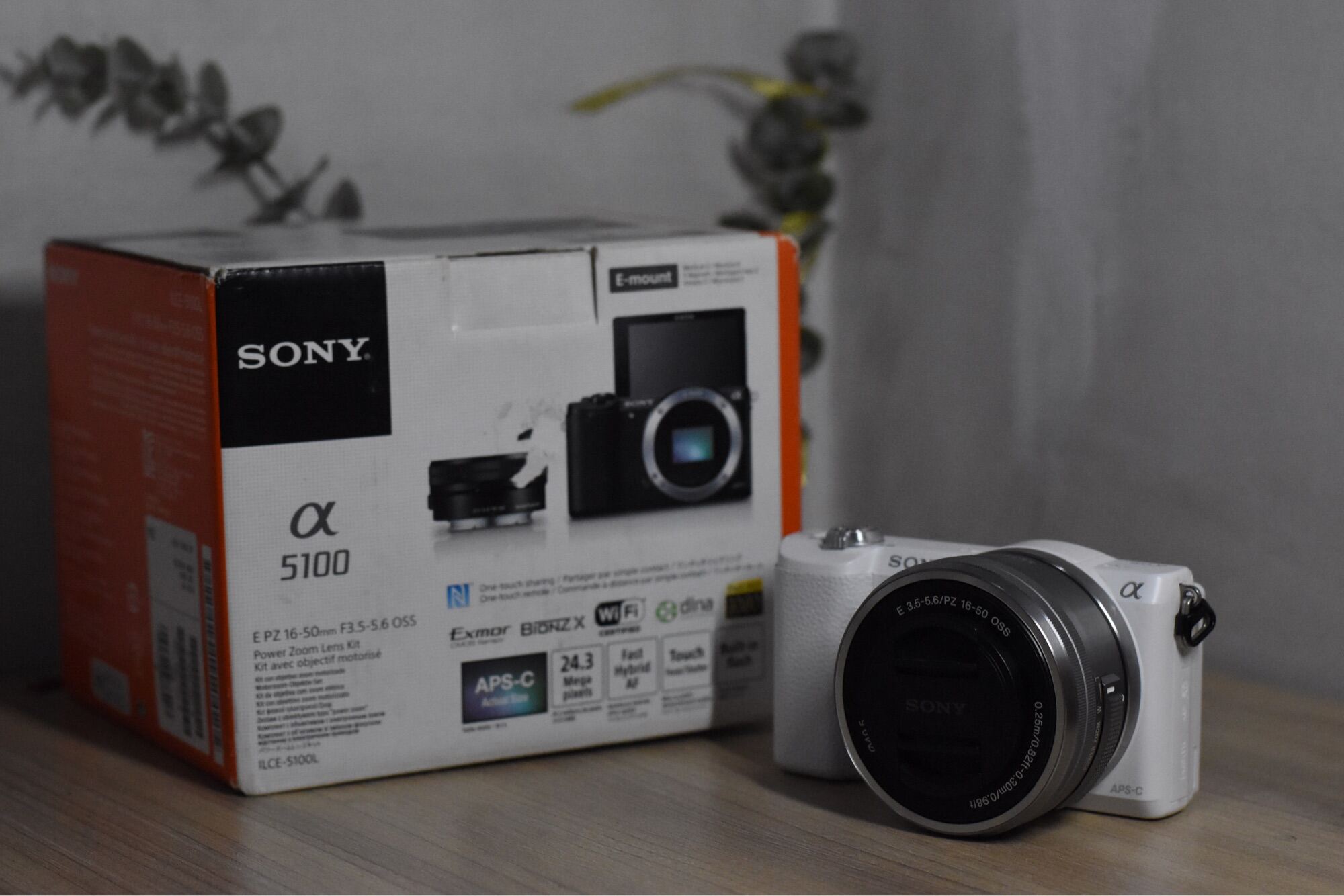 sony alpha ilce 100l