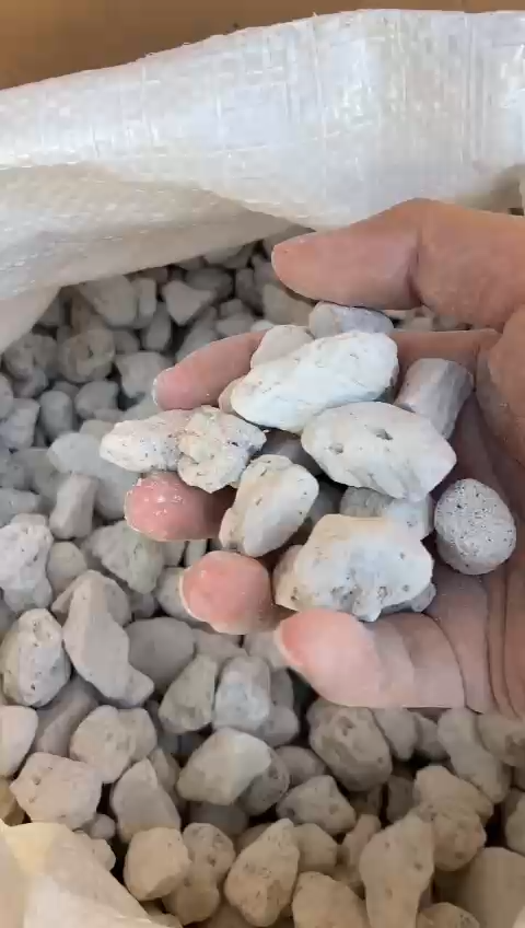 Batu Apong | Pumice Stone | 浮石 (1-3m,3-5cm,5-8mm,8-10mm,10-20mm) (20kg ...