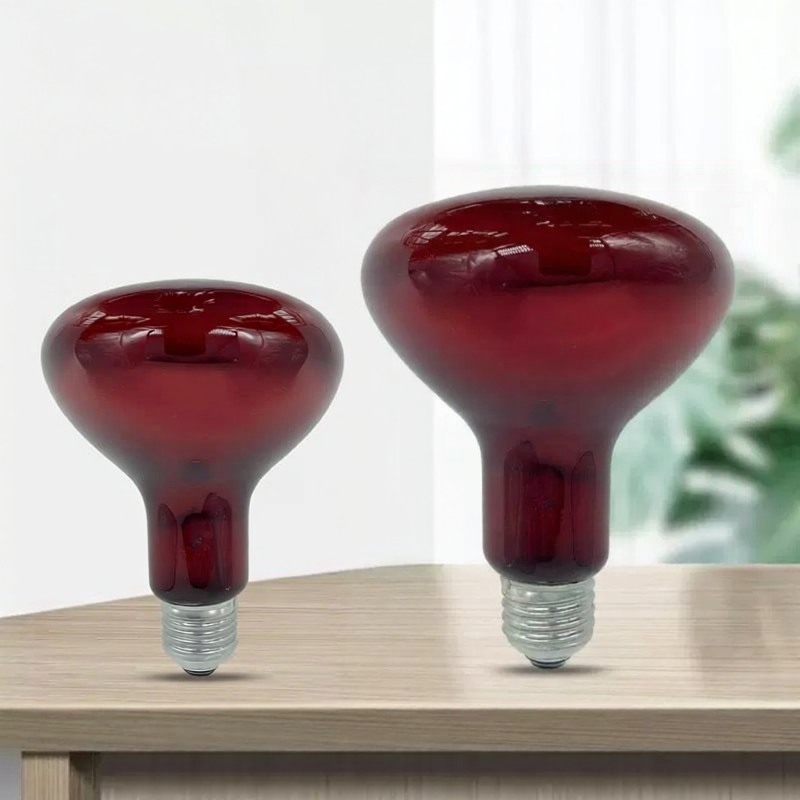 Philips | Far Infrared Therapy Lamp