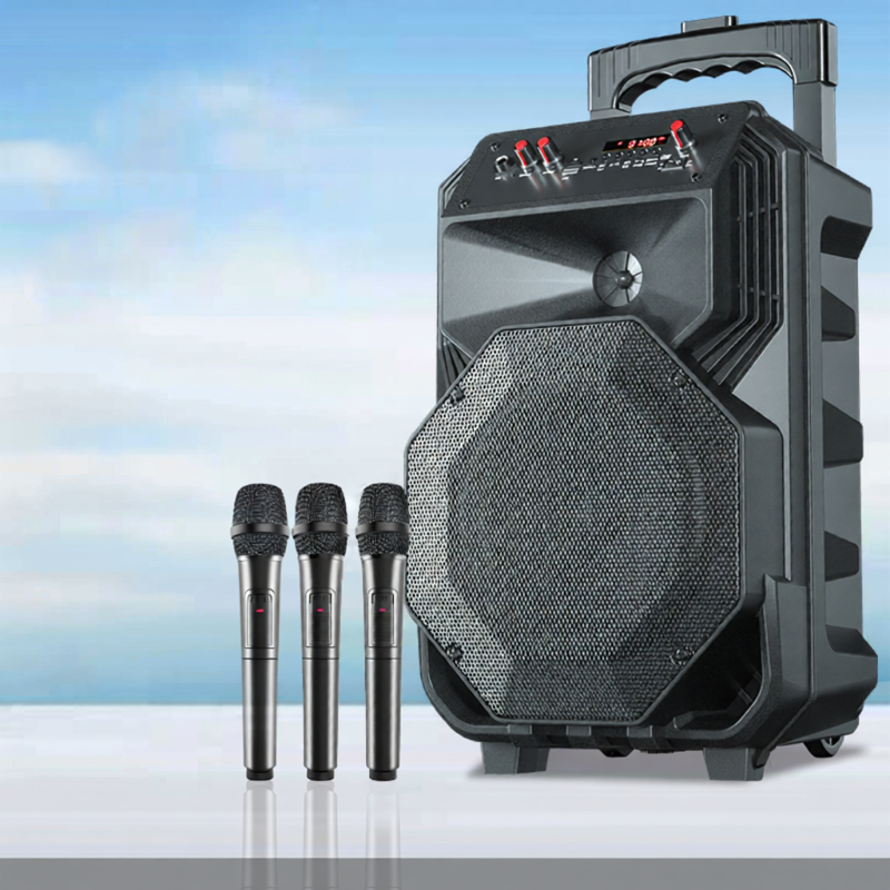 HUABAO | Professional Outdoor K-Singing Bluetooth Speaker with Microphone High Volume
