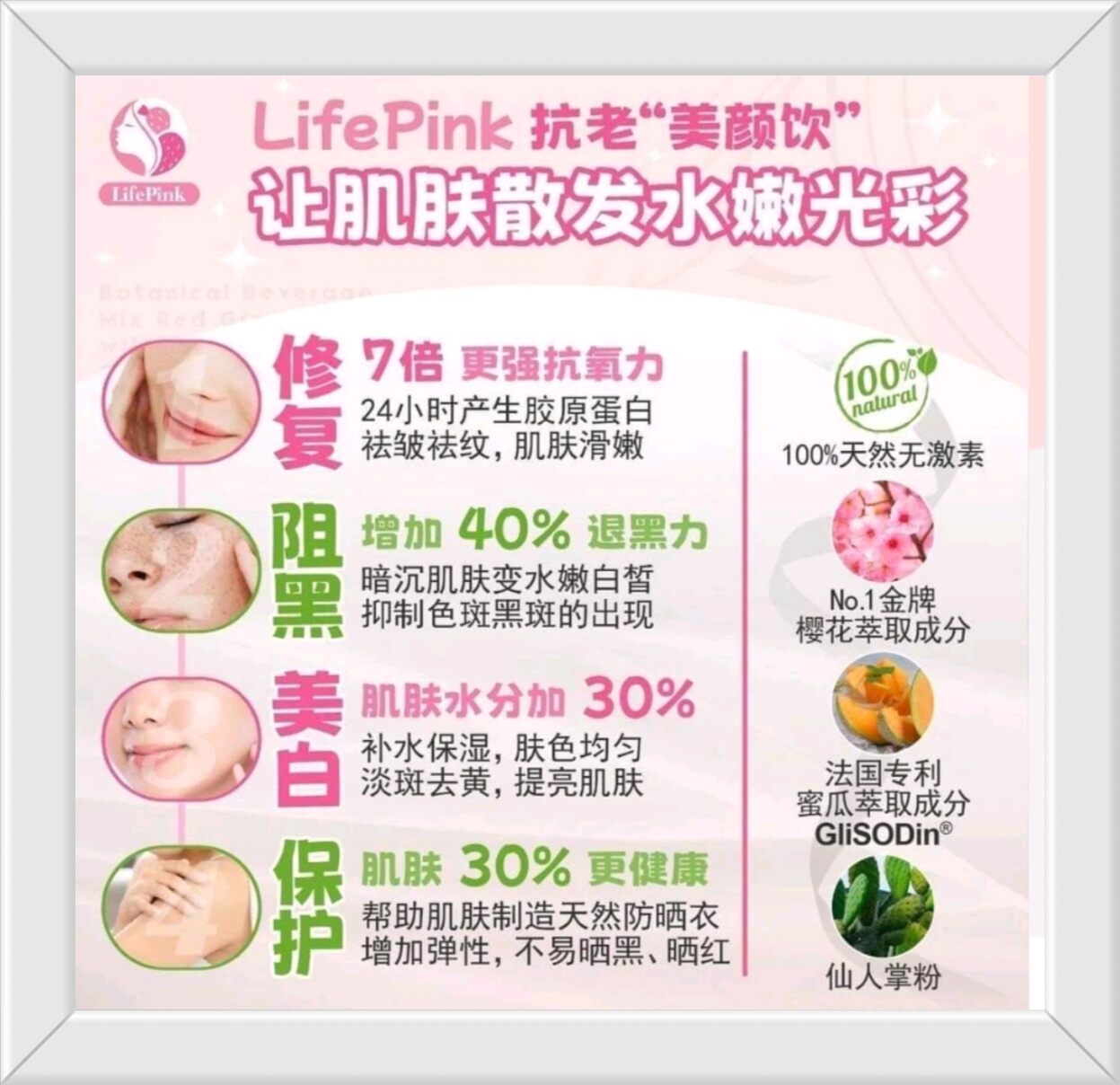 Life Pink (Botanical Beverage Mix Red Grape With Cactus, Cantaloupe Extract & Sakura Extract.. 