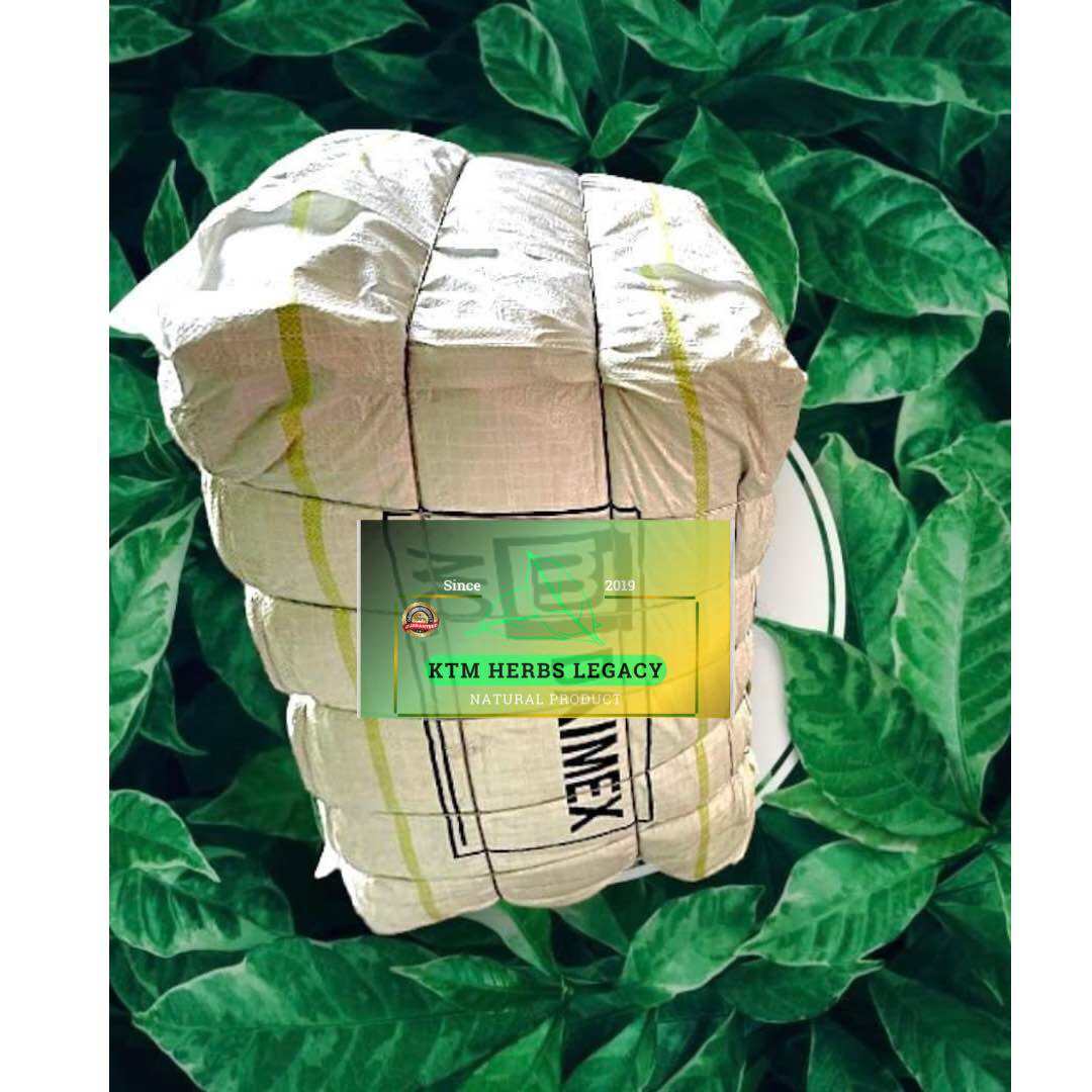 500G+ TSHIRT VINTAGE “Ump” TOKO