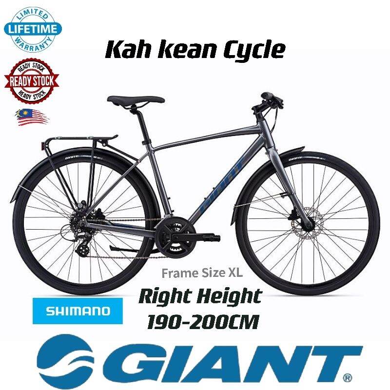 Giant xl hot sale frame size