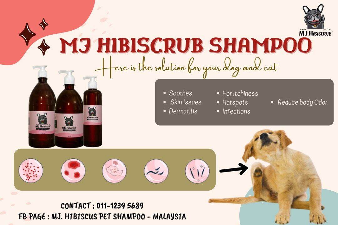 hibiscrub dog shampoo
