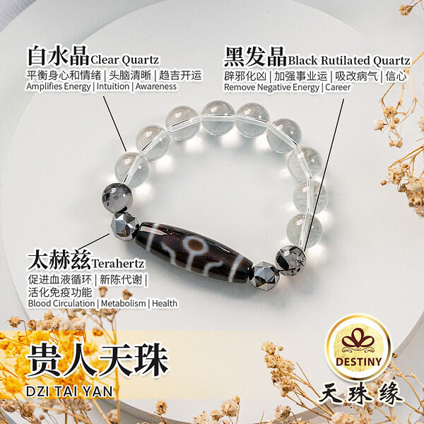 貴人天珠 m－839 贵人天珠TAI YAN DZI 人际之珠大人天