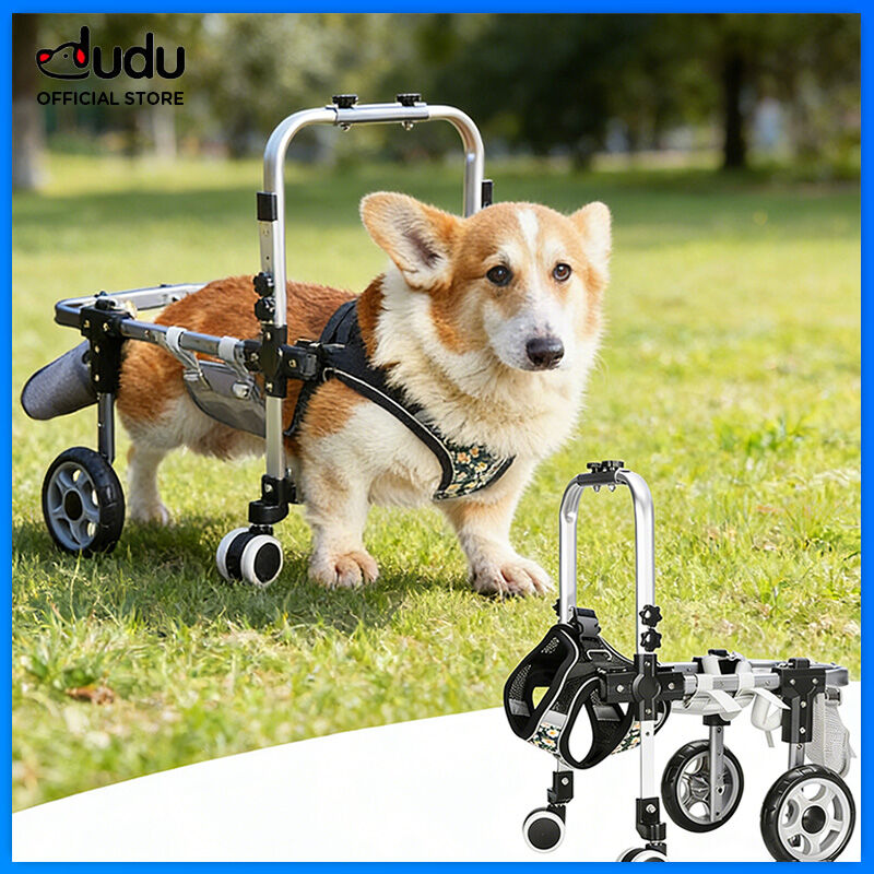 DUDU Pet Dog Wheelchair for Back Legs，Adjustable Pets Cart Mobility Aids for Little Pets,Chest & Thigh Support,Suitable Small Medium Dogs ราคา 1,579 บาท*ส่งฟรี