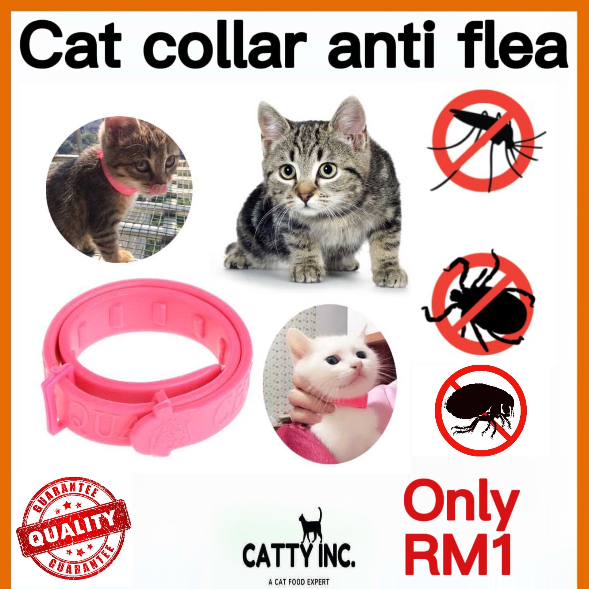 Cat collar outlet anti flea