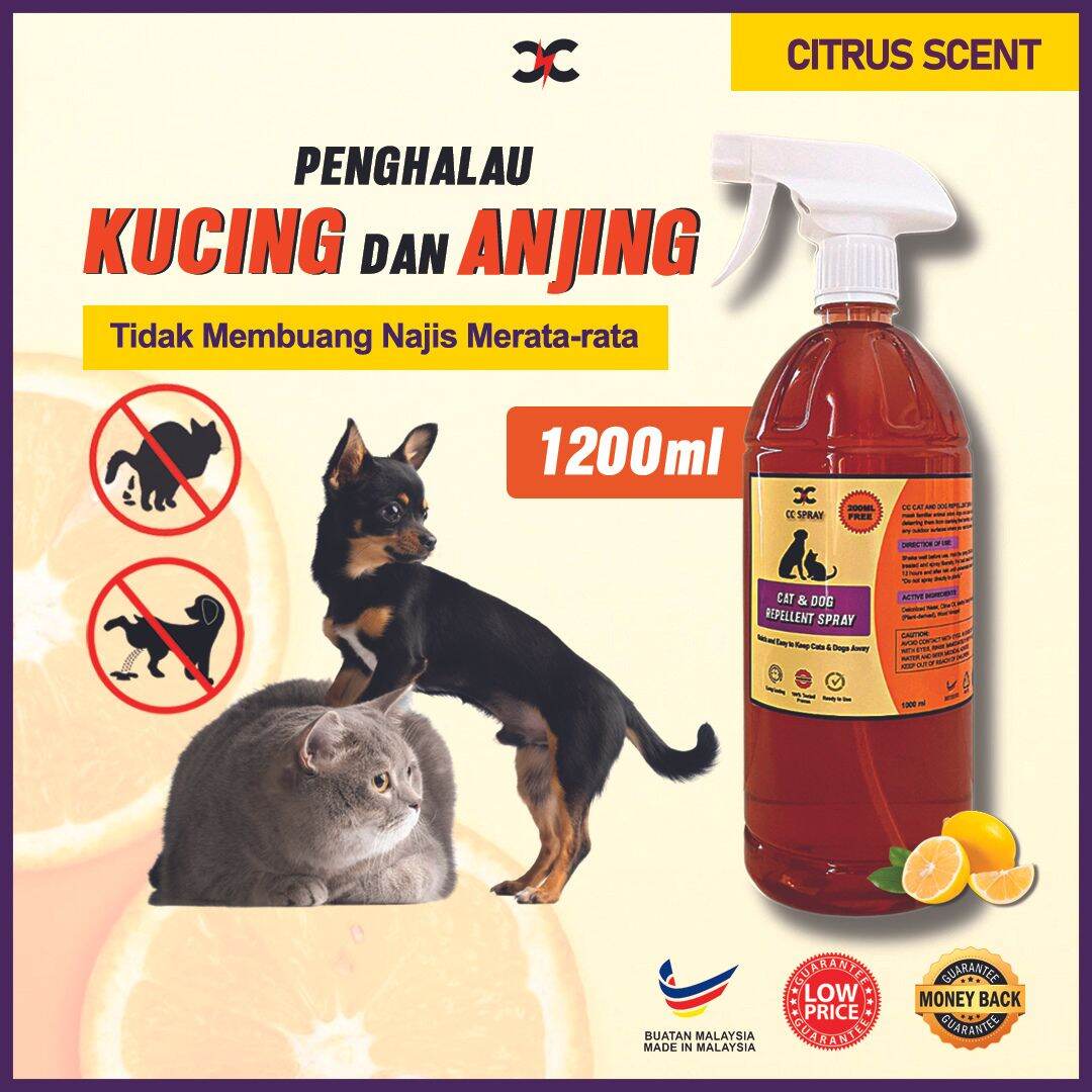 Citrus dog hot sale repellent