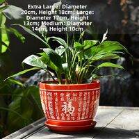 XIANGCAI | Home Special Cactus and Succulent Pot with Tray Ceramic
