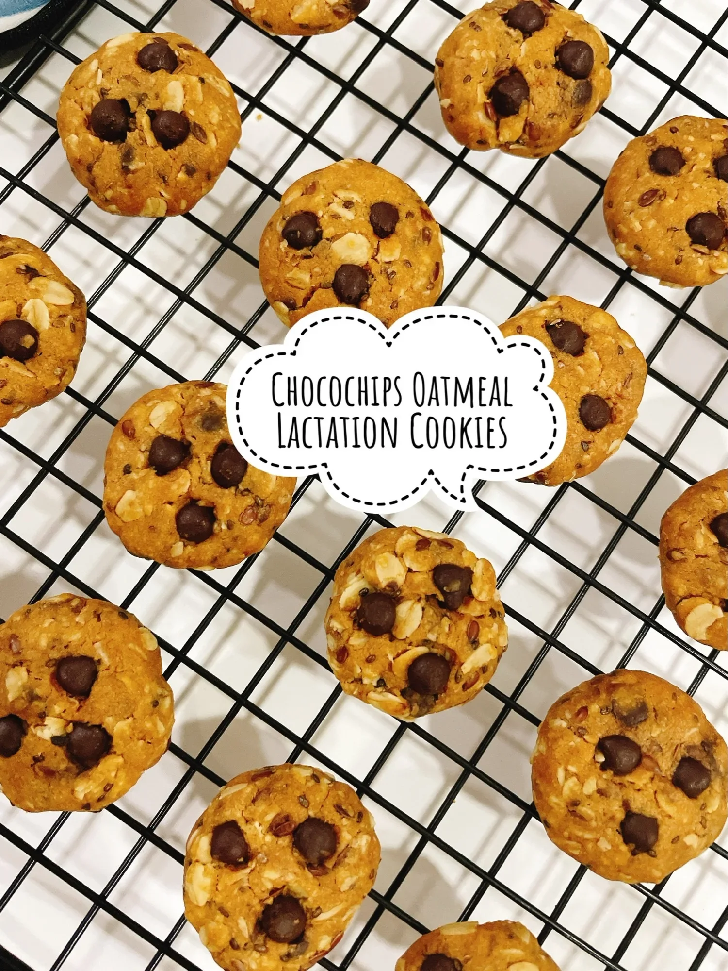 Chocochip Oatmeal Lactation Cookies (200G) / Biscuit Coklat Tambah Susu / 巧克力催乳饼干