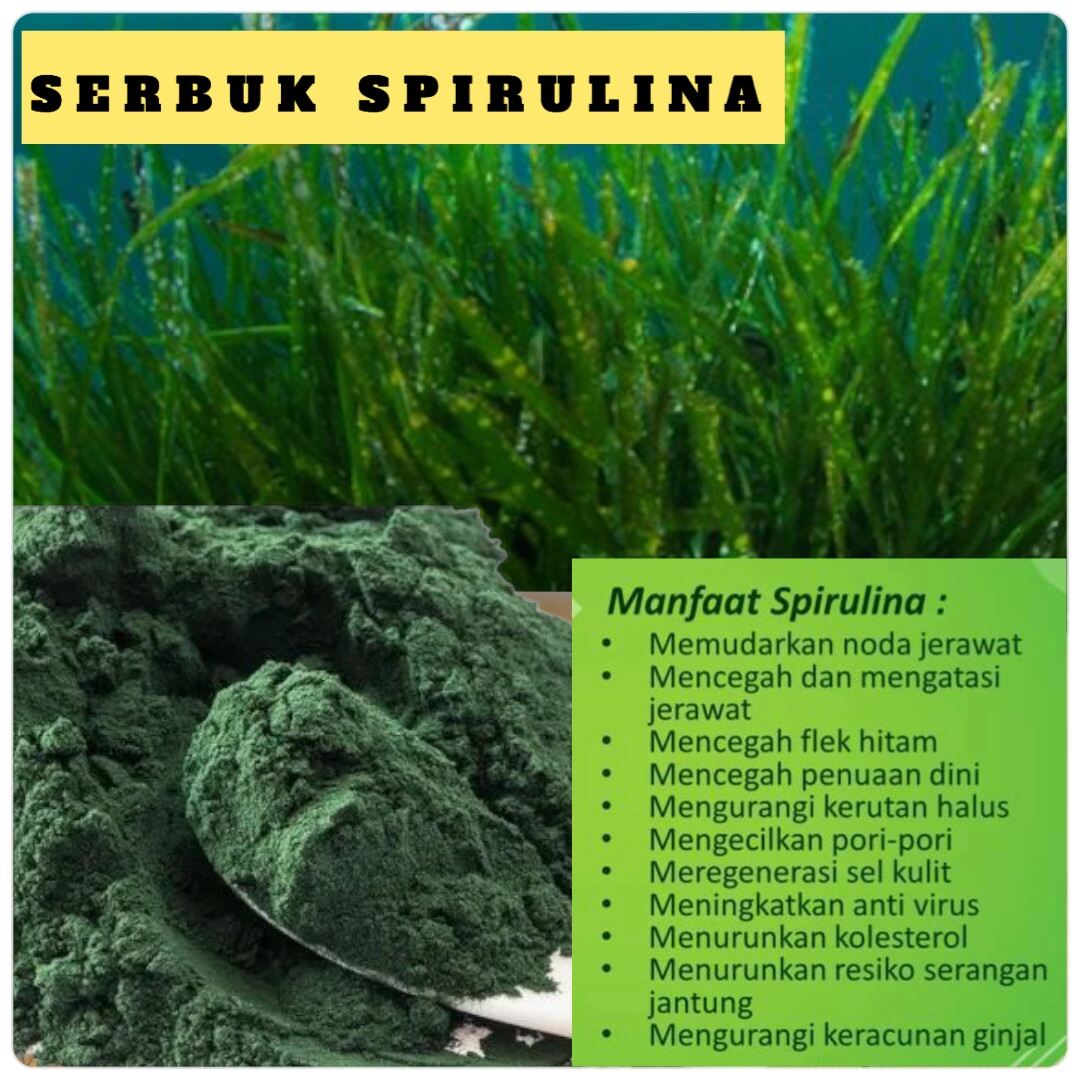 SERBUK SPIRULINA (100gram)for drink | Lazada
