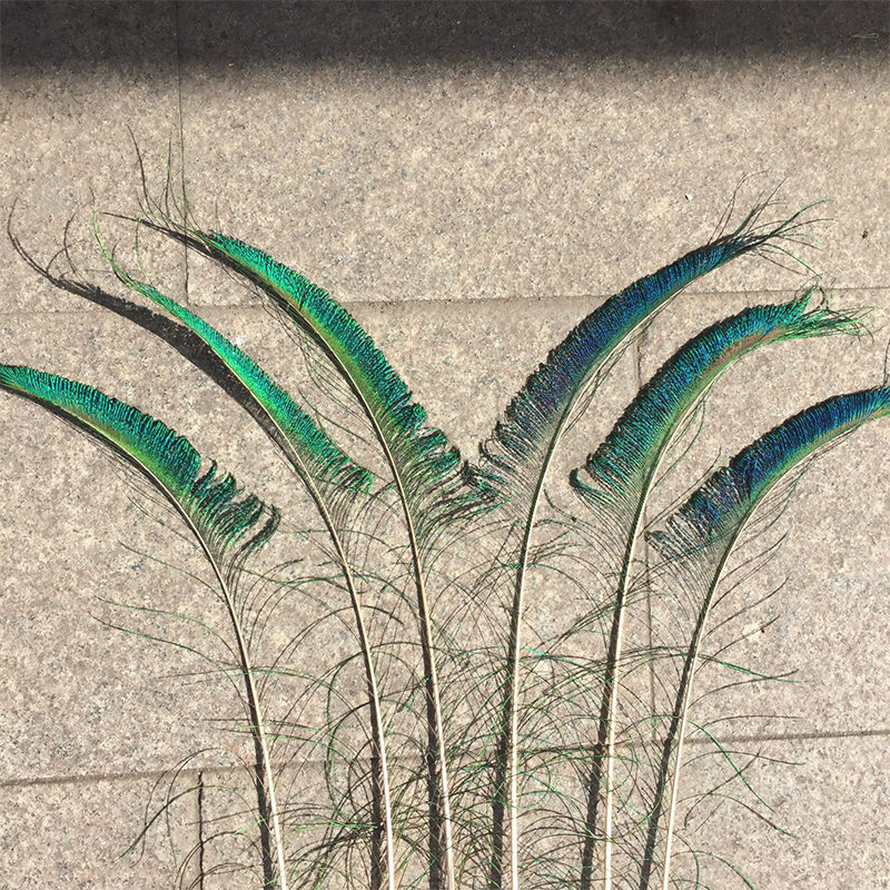Natural Peacock Feather Decorative Vase Ornaments
