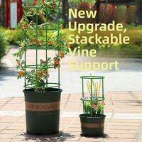 BEAUTISKY | Adjustable Climbing Plant Support Frame
