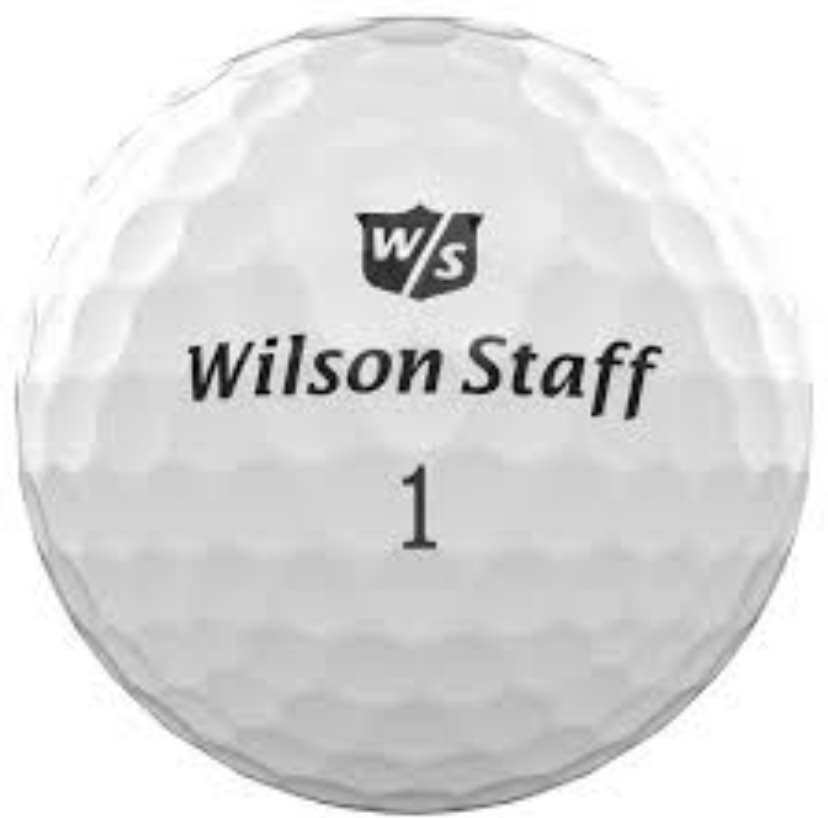WILSON USED GOLF BALL HQ 💯 TRUSTED (10’S) Lazada