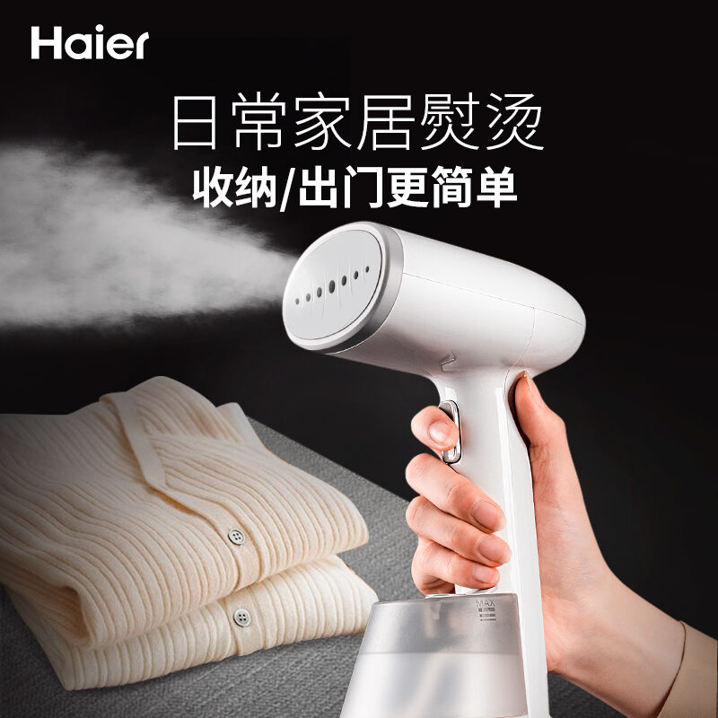 garment steamer reddit