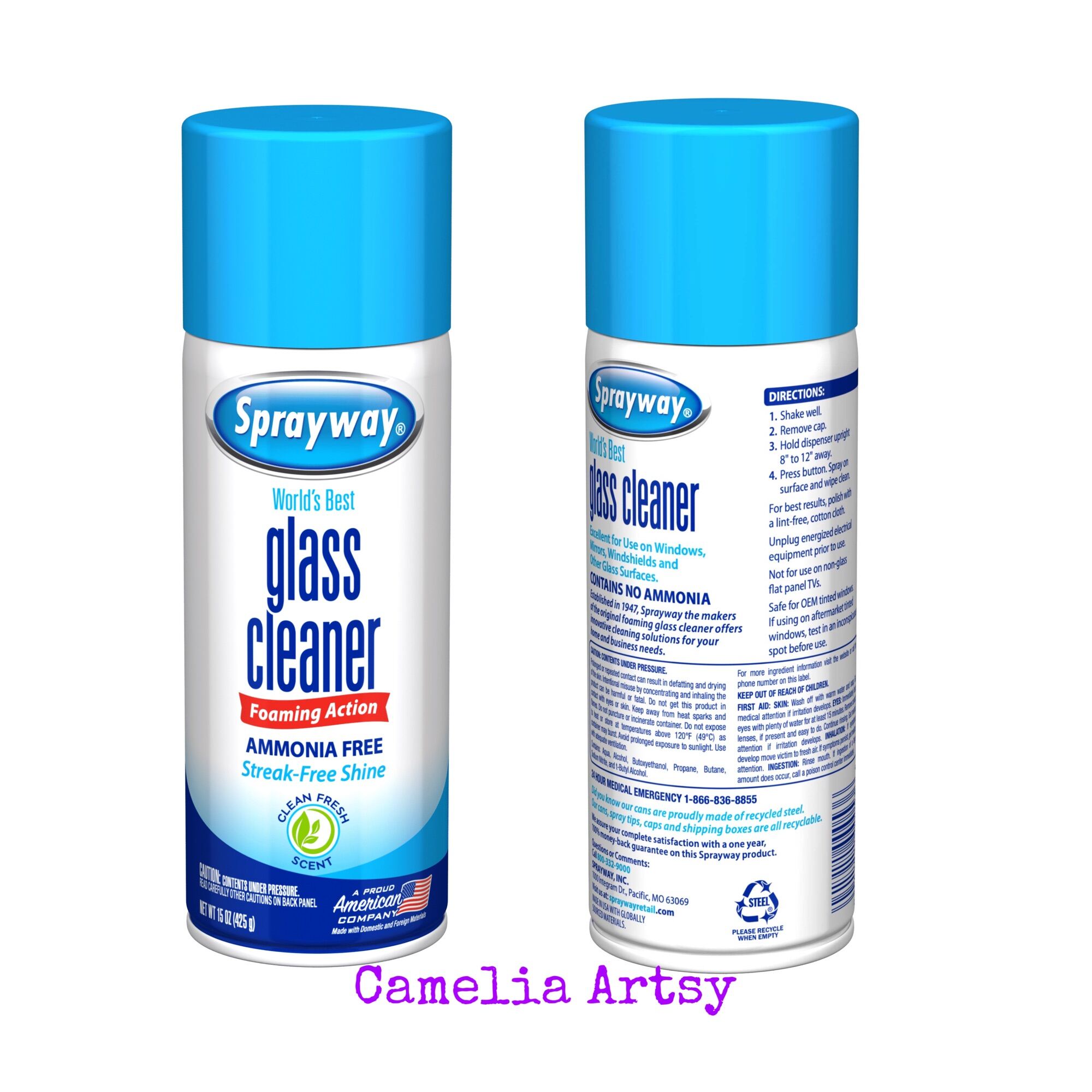 Sprayway Glass Cleaner Foaming Aerosol Spray 19oz