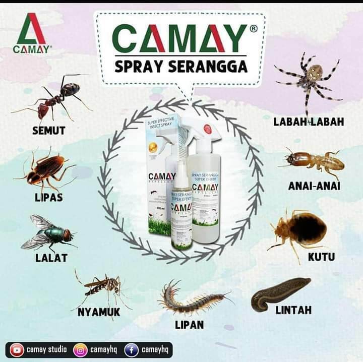 Spray Camay Untuk Kamitetep Lazada